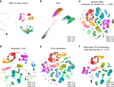 tsne working 